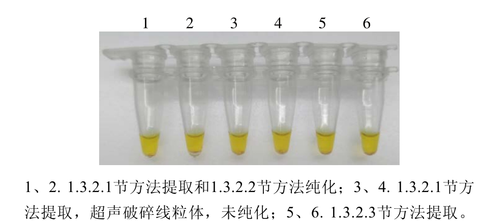 食品科学