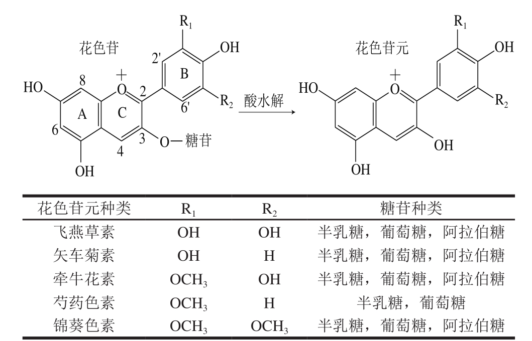 基于组合色谱技术的蓝莓果实中花色苷元制备 基于组合色谱技术的蓝莓果实中花色苷元制备