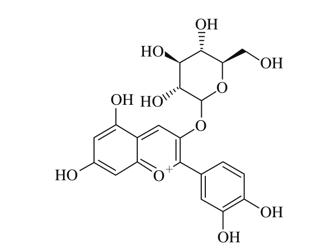 大孔树脂-中压柱层析联用分离纯化蓝莓花色苷