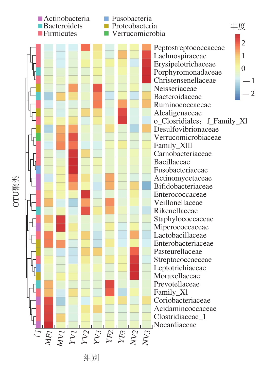 3 species abundance of intestinal flora in infants from each