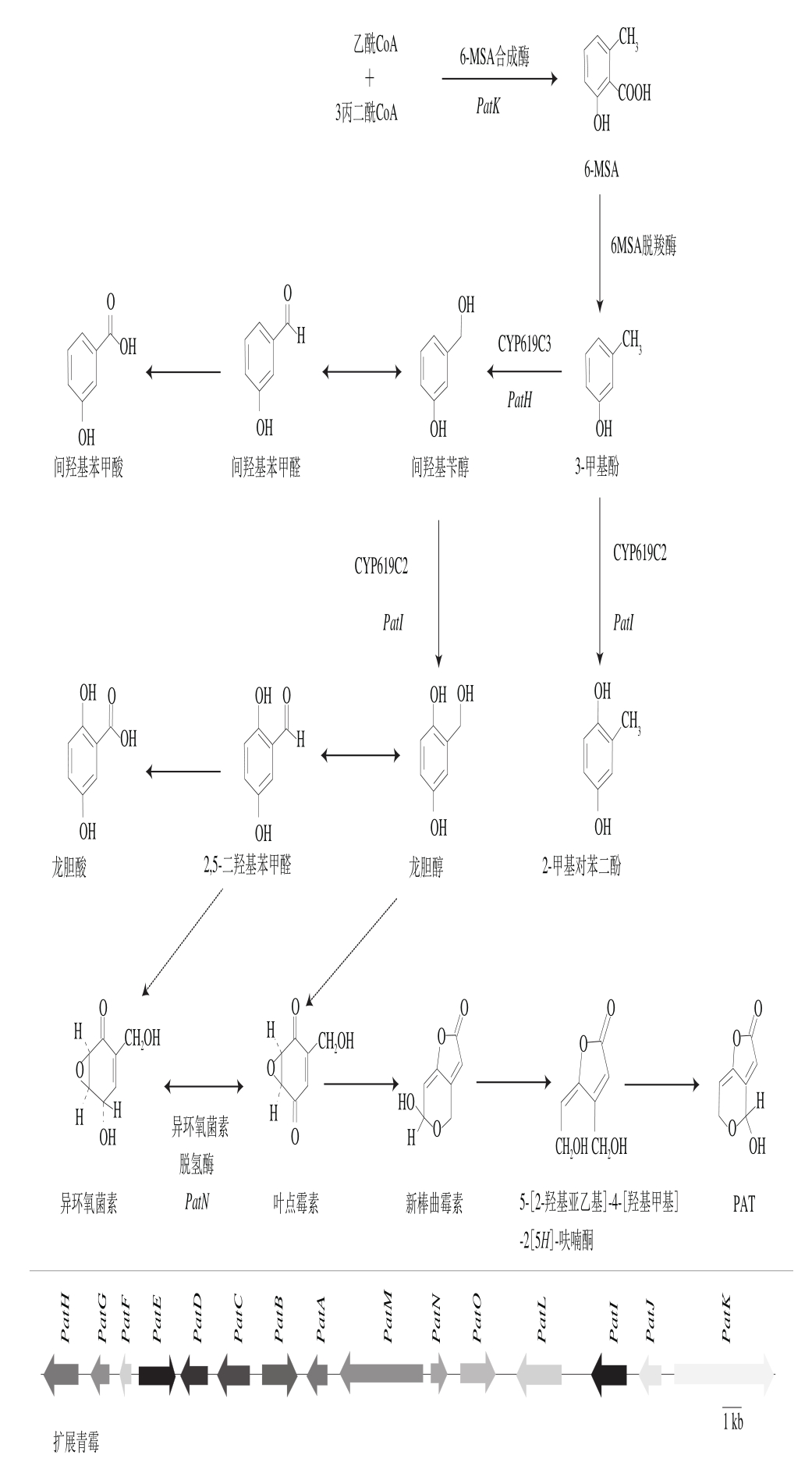 pagenumber_ebook=302,pagenumber_book=296
