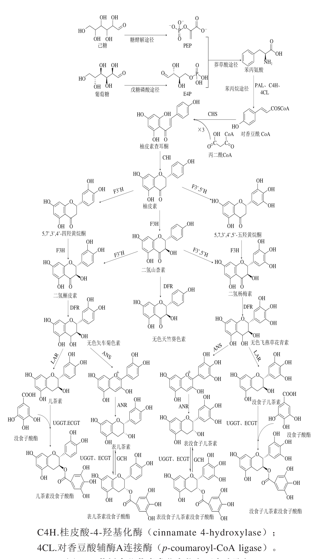 pagenumber_ebook=325,pagenumber_book=318