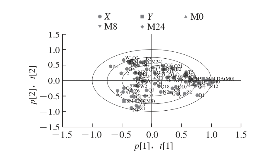 缢蛏肌肉挥发性成分pls-da双标图